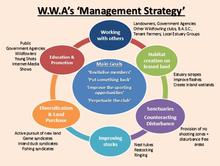 W.W.A.'s management strategy